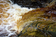 Fast-flowing Stream Photograph by Science Photo Library