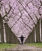 Feeling Spring Photograph by Roelof De Hoog