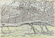 Felled Tree,normandy Drawing by Georges Lacombe