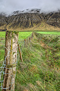 Fence of Iceland Photograph by David Letts