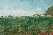 Field with Poppies. Painting by Vincent van Gogh -1853-1890- Field with Poppies. Painting by Vincent van Gogh -1853-1890-