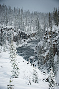 Firehole River Yellowstone Photograph by Mark Duehmig