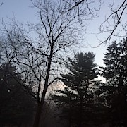 First Light and Fog Photograph by Frank J Casella