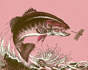 Fish Going After Dragonfly Drawing by CSA Images Fish Going After Dragonfly Drawing by CSA Images