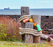 Fishing Floats Photograph by Lenore Locken