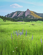 Flatirons Landscape In Boulder Photograph by Max Seigal Photography