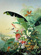 Fleurs exotique, 1836 Exotic flowers from tropical countries. Canvas, 162 x 121 cm. Painting by Jean Benner-Fries Fleurs exotique, 1836 Exotic flowers from tropical countries. Canvas, 162 x 121 cm. Painting by Jean Benner-Fries
