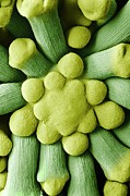 Floret Of Cauliflower Photograph by Science Photo Library