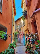 French Flower Street Photograph by Andrea Whitaker French Flower Street Photograph by Andrea Whitaker