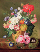Flowers In A Terracotta Vase, 1744 Photograph by Jan Van Huysum