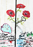 Flowers Key Photograph by Munir Alawi