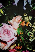 Flowers on the wall Photograph by Robert Grac