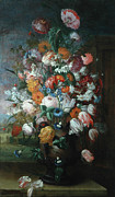 Flowers, Studies With Irises, 1682 Painting by Jan Van Huysum