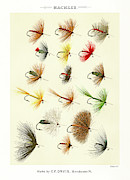Fly Fishing Lures 1 Drawing by David Letts