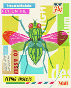 Fly on the Wall Collage Drawing by CSA Images Fly on the Wall Collage Drawing by CSA Images