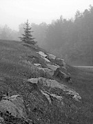Foggy Morning Photograph by Kelly Council