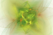 Folds in Paradise Digital Art by Brandi Untz
