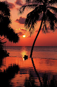 For YOU. Dream Coming True I. Maldives Photograph by Jenny Rainbow