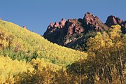 Forest And Mountainous Landscape Photograph by Dreampictures
