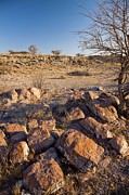 Fosilised River Bed Near Ghanzi Photograph by Roger De La Harpe