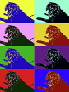 Foster Dog Pop Art Photograph by Kathy K McClellan