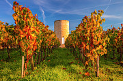 France, Nouvelle-aquitaine, Saint-emilion, Gironde, Bordeaux Region, Vineyard And Tower Digital Art by Olimpio Fantuz