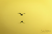 Free Photograph by Bryan Lee Williams