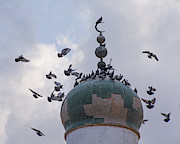 Free Flight Photograph by Laura Hedien