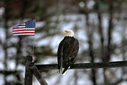 Freedom Rings Photograph by Ronnie And Frances Howard