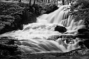 French Alps Stream Photograph by Jon Glaser