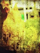Fresh Eggs Digital Art by Krista Droop