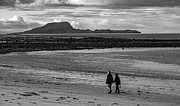 Friends Photograph by Tony Galvin