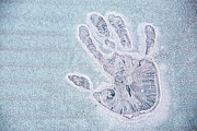 Frozen Hand Print On An Iced Over Car Window, Ambleside Photograph by Ashley Cooper / Naturepl.com