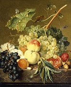 Fruit, Hazelnuts And Hollyhocks On A Marble Ledge Painting by Jan Van Huysum