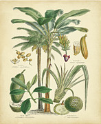 Fruitful Palm II Painting by Vision Studio