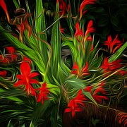 Garden Flames Photograph by Mark Egerton