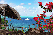 Huahini View Photograph by Diane Macdonald