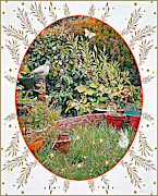 Garden Pigeon with White Butterfly and White Bush, Abbie Shores Faa Challenge 19 Mixed Media by Lise Winne