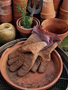 Gardening Gloves On Bench Photograph by Science Photo Library