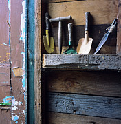 Gardening Tools Photograph by Science Photo Library
