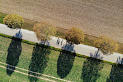 Geometric Landscape 10 Trees and shadows aerial view Photograph by Matthias Hauser Geometric Landscape 10 Trees and shadows aerial view Photograph by Matthias Hauser