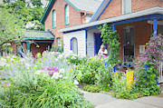 Getting Ready for Buffalo's Garden Walk 2019 Photograph by Marilyn Cornwell Getting Ready for Buffalo's Garden Walk 2019 Photograph by Marilyn Cornwell