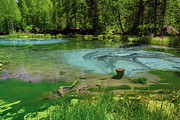 Geyser Lake, Near Aktash Village, Altai Mountains, Russia. Photograph by Olga Kamenskaya / Naturepl.com Geyser Lake, Near Aktash Village, Altai Mountains, Russia. Photograph by Olga Kamenskaya / Naturepl.com