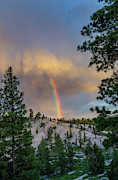 Gift from above Photograph by Gaelyn Olmsted