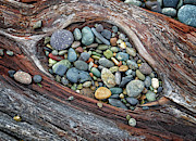 Gift Photograph by Lynn Wohlers