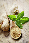 Ginger Photograph by Jelena Jovanovic