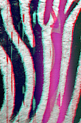 Glitch Art Zebra Stripes Digital Art by Matthias Hauser Glitch Art Zebra Stripes Digital Art by Matthias Hauser