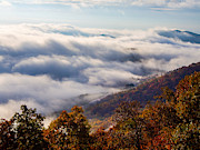 Golden Autumn Along the  Blue Ridge Parkway Photograph by L Bosco
