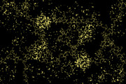 Golden Dream 6 Digital Art by Brandi Untz Golden Dream 6 Digital Art by Brandi Untz