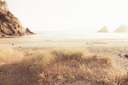 Golden Hour Photograph by Bonnie Bruno
